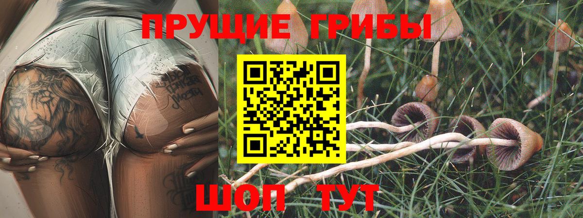 Псилоцибиновые грибы MAGIC MUSHROOMS  Вход с VPN  Галлюциногенные грибы ЛСД  Ревда 
